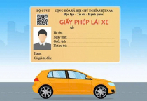 Quy định mới về đào tạo, sát hạch, cấp giấy phép lái xe từ ngày 01/01/2025