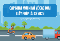 Luật giao thông 2025: Cập nhật các loại giấy phép lái xe ô tô mới 2025